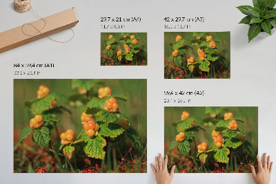 Plakat na platnu Zeleno lišće narančastog voća prirodni šarm