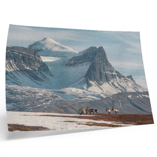 Stilski zidni plakat Slikovita planina mir sobova zimski krajolik