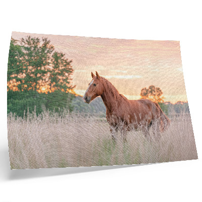 Plakat na platnu Konj na livadi ujutro, pastelne boje, opuštanje