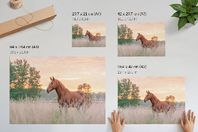 Plakat na platnu Konj na livadi ujutro, pastelne boje, opuštanje