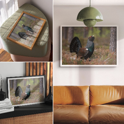 Umjetnički print Ptičje boje šuma priroda mirna atmosfera