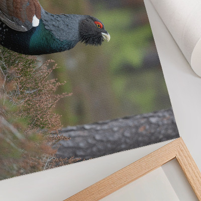 Umjetnički print Ptičje boje šuma priroda mirna atmosfera