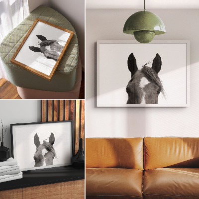 Plakat na platnu Crno-bijela fotografija elegancije konja