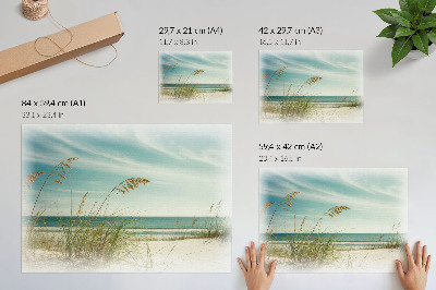 Umjetnički print Plaža trava ocean nebo mir