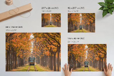 Umjetnički print Jesenski tunel s tramvajem u sredini