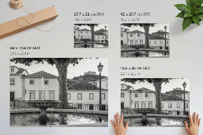 Plakat na platnu Crno-bijela fontana klasičnih zgrada dvorac