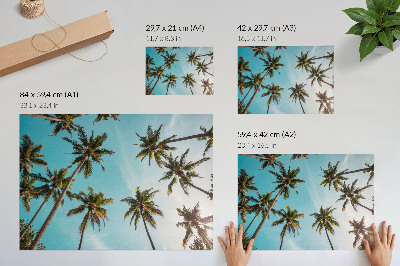 Plakat Palme na plavoj pozadini, mirna atmosfera prirode