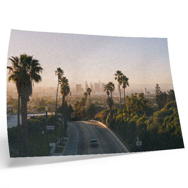 Plakat na platnu Palme i gradska panorama obasjana suncem