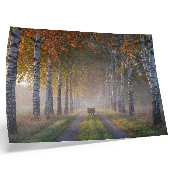 Plakat Simetrične breze, maglovito svjetlo, jesenska aleja