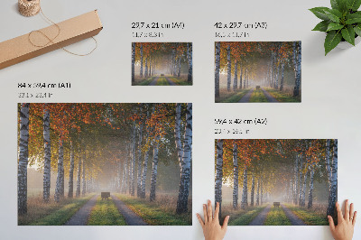 Plakat Simetrične breze, maglovito svjetlo, jesenska aleja