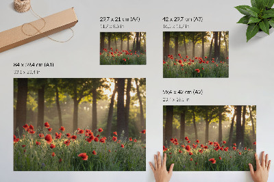 Stilski zidni plakat Crveni makovi zelena šuma sunčeve zrake