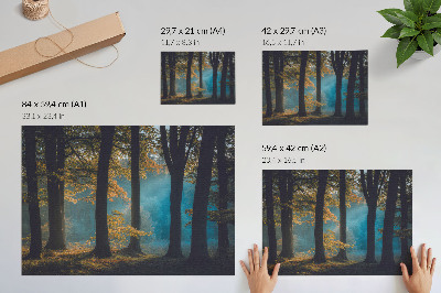 Stilski zidni plakat Tiha šuma, jutarnje sunce, šareno lišće