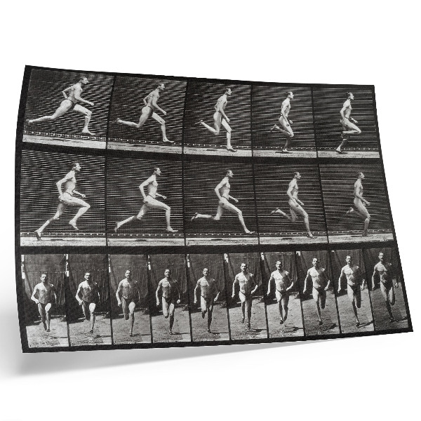 Umjetnički print Ploča 60 snimke Kretanje životinja (1887.) koju je fotografirao Eadweard Muybridge
