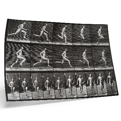 Umjetnički print Ploča 60 snimke Kretanje životinja (1887.) koju je fotografirao Eadweard Muybridge