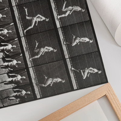 Umjetnički print Ploča 60 snimke Kretanje životinja (1887.) koju je fotografirao Eadweard Muybridge