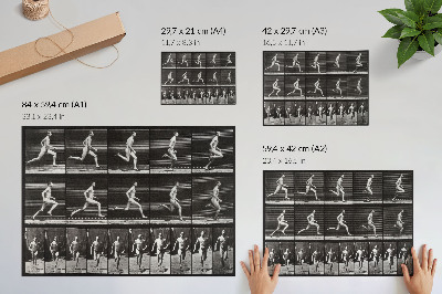 Umjetnički print Ploča 60 snimke Kretanje životinja (1887.) koju je fotografirao Eadweard Muybridge