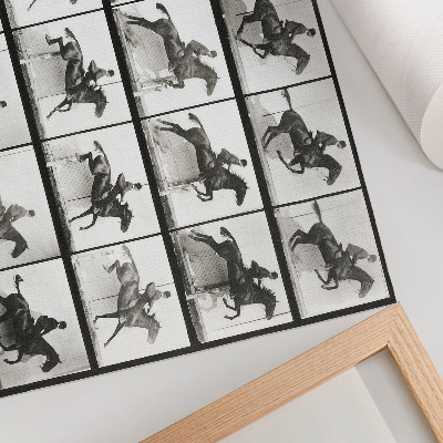 Plakat na platnu Ploča 640 snimke Kretanje životinja (1887.), jahanje koje je fotografirao Eadweard Muybridge