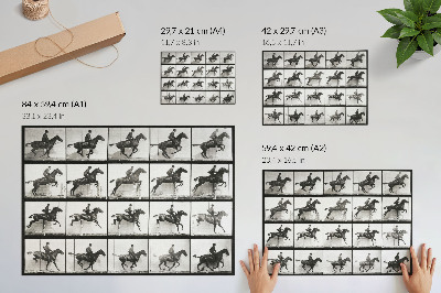Plakat na platnu Ploča 640 snimke Kretanje životinja (1887.), jahanje koje je fotografirao Eadweard Muybridge