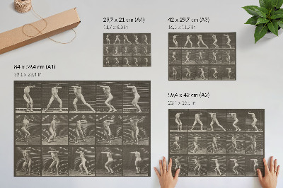 Plakat Ploča broj 73. Iznenađeno se okreće i bježi (1887.) autora Eadwearda Muybridgea