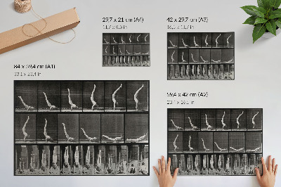 Umjetnički print Muškarac stoji na rukama iz ležećeg položaja. Fototip prema Eadweardu Muybridgeu, 1887.