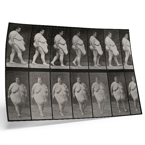 Plakat na platnu Pretila žena hoda. Fototip prema Eadweardu Muybridgeu, 1887.