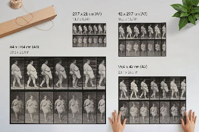 Plakat na platnu Pretila žena hoda. Fototip prema Eadweardu Muybridgeu, 1887.