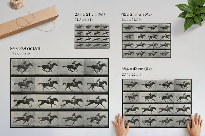 Plakat Galopirajući konj i jahač. Fototip prema Eadweardu Muybridgeu, 1887.