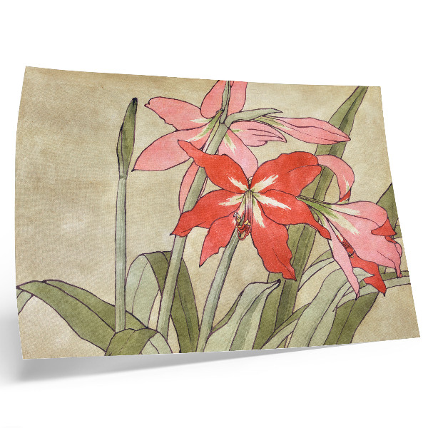 Plakat Amaryllis (1915.) Hannah Borger Overbeck