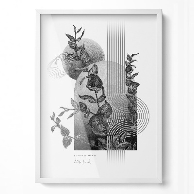 Okvir za slike bijeli 50x70 cm