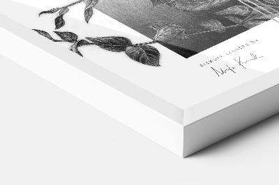 Okvir za poster bijeli 60x80 cm