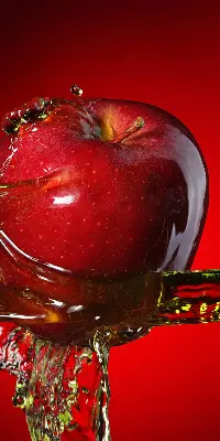 Unutarnja prozorska rolo zavjesa Crvena jabuka u dubinama