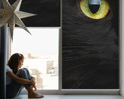Unutarnja rolo zavjesa za prozor Mačje oči