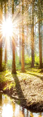 Unutarnja rolo zavjesa za prozor Sunce koje sija kroz drveće
