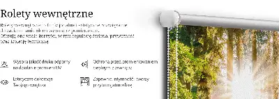 Unutarnja rolo zavjesa za prozor Sunce koje sija kroz drveće