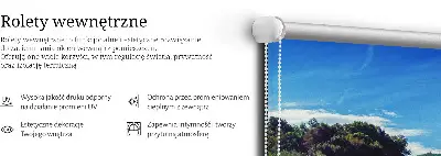 Rolo zavjesa za prozor Slap