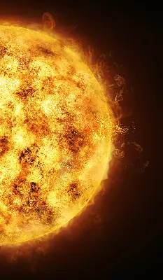 Unutarnja prozorska rolo zavjesa Žuta mreža