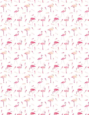 Unutarnja prozorska rolo zavjesa Flamingosi i njihovo perje