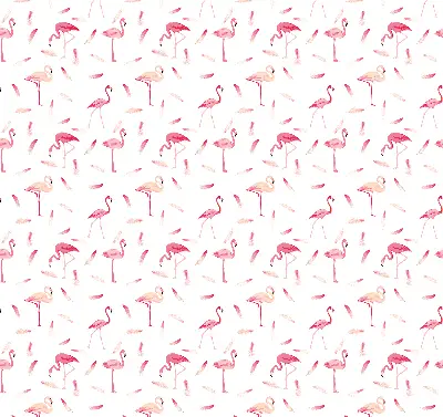 Unutarnja prozorska rolo zavjesa Flamingosi i njihovo perje