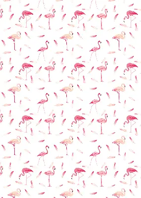 Unutarnja prozorska rolo zavjesa Flamingosi i njihovo perje
