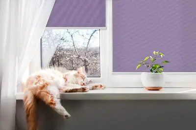 Rolo zavjesa za prozor Ljubičasta