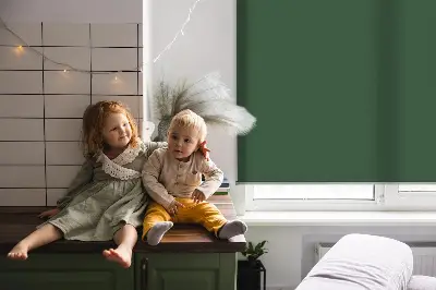 Unutarnja rolo zavjesa za prozor Zelena
