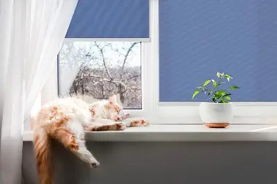 Unutarnja rolo zavjesa Plava
