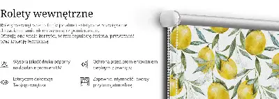 Platnena rolo zavjesa Limuni