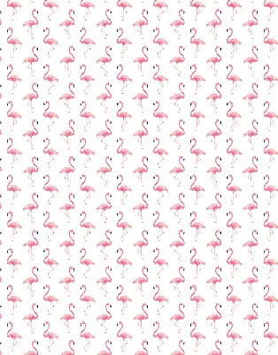 Unutarnja rolo zavjesa za prozor Flamingosi