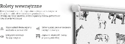 Rolo zavjesa za prozor Životinje