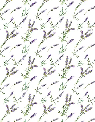 Platnena rolo zavjesa Lavanda