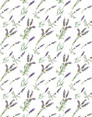 Platnena rolo zavjesa Lavanda