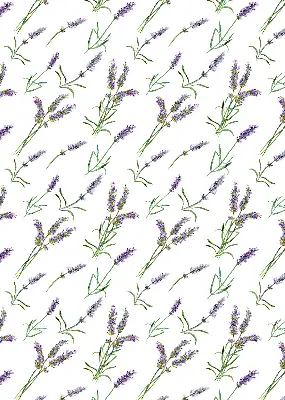 Platnena rolo zavjesa Lavanda