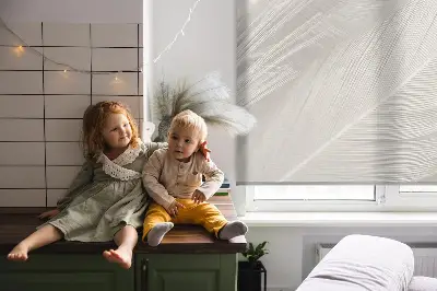 Unutarnja rolo zavjesa perje