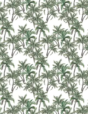 Unutarnja prozorska rolo zavjesa Palme